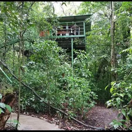 מונטה ורדה Jungle Living Tree Houses מראה חיצוני תמונה