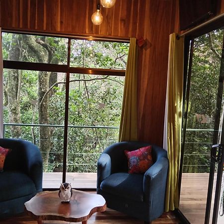 מונטה ורדה Jungle Living Tree Houses מראה חיצוני תמונה