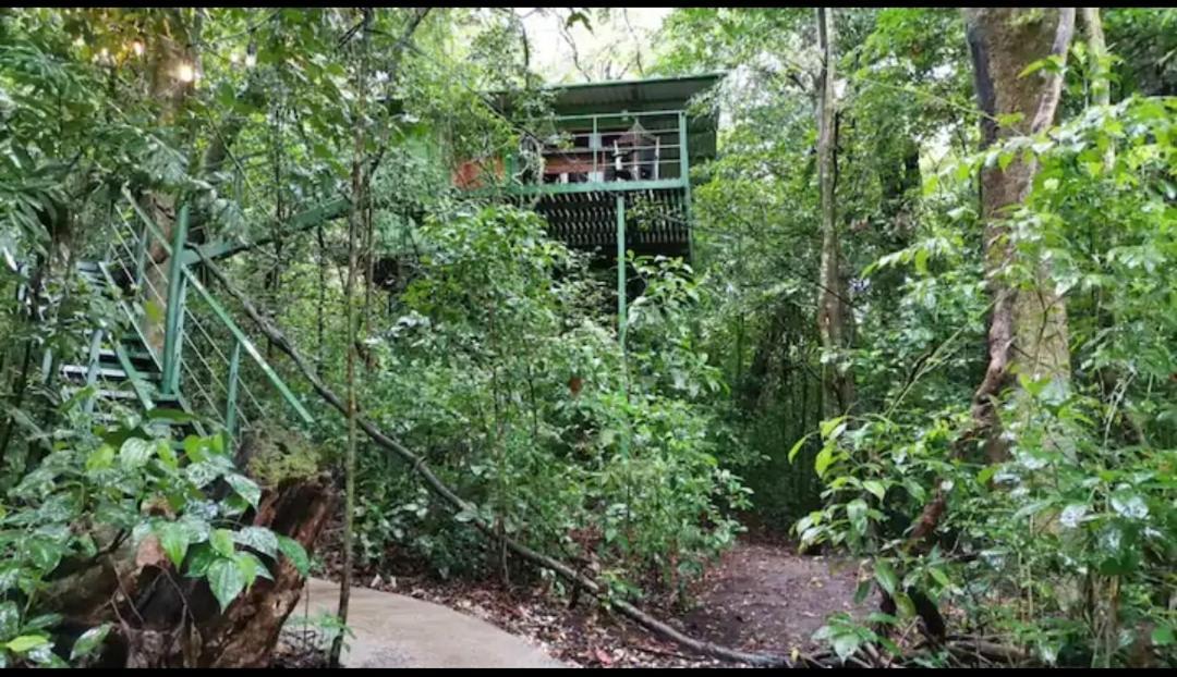 מונטה ורדה Jungle Living Tree Houses מראה חיצוני תמונה
