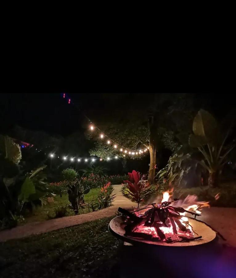 מונטה ורדה Jungle Living Tree Houses מראה חיצוני תמונה