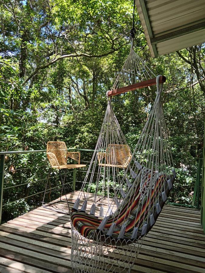 מונטה ורדה Jungle Living Tree Houses מראה חיצוני תמונה