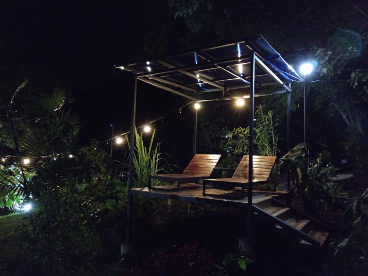 מונטה ורדה Jungle Living Tree Houses מראה חיצוני תמונה