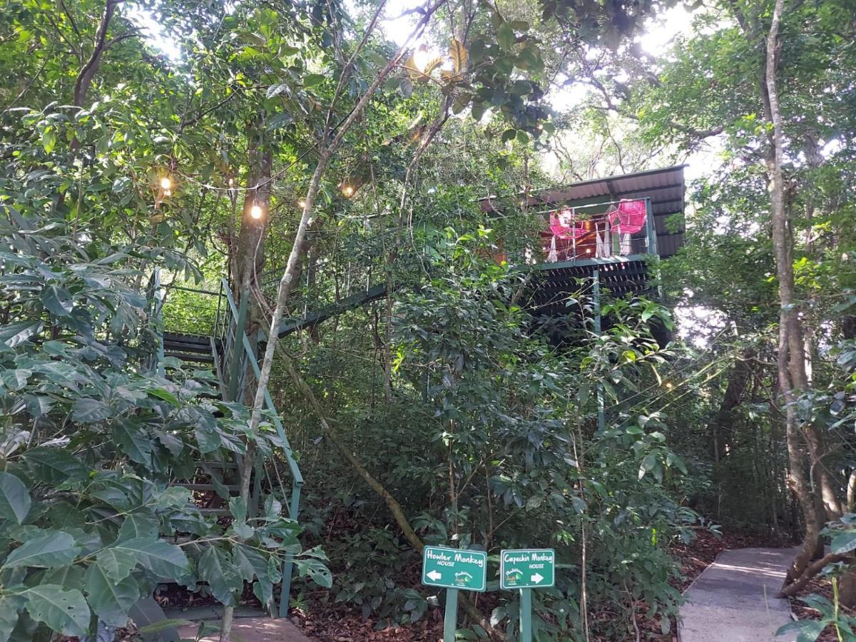 מונטה ורדה Jungle Living Tree Houses מראה חיצוני תמונה