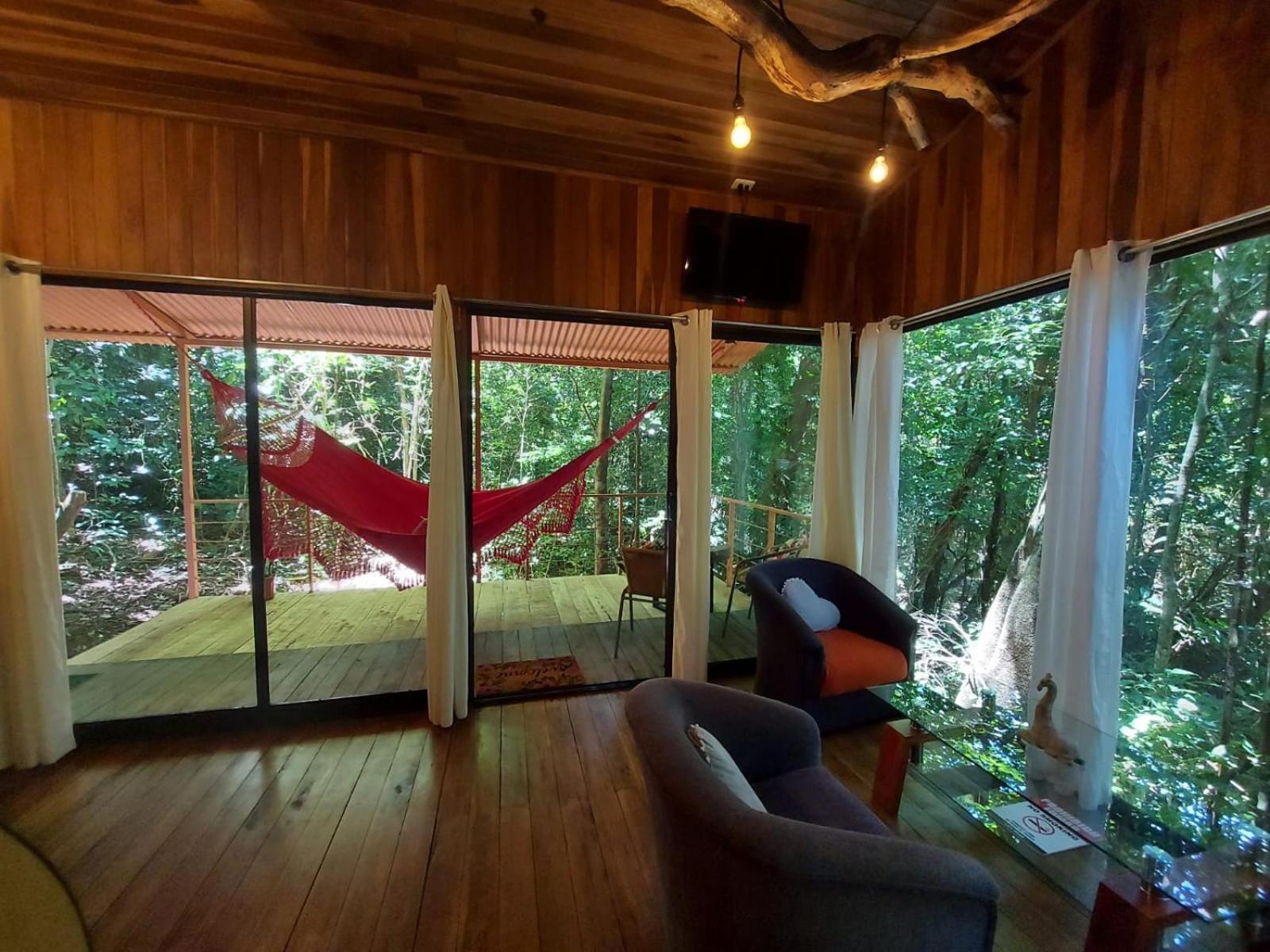 מונטה ורדה Jungle Living Tree Houses מראה חיצוני תמונה