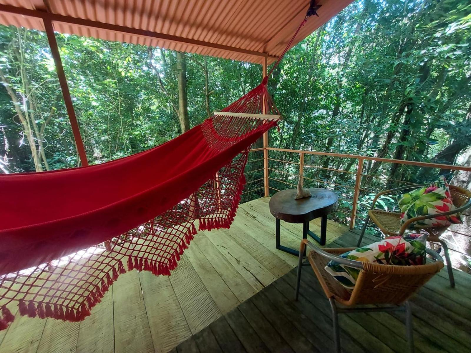 מונטה ורדה Jungle Living Tree Houses מראה חיצוני תמונה