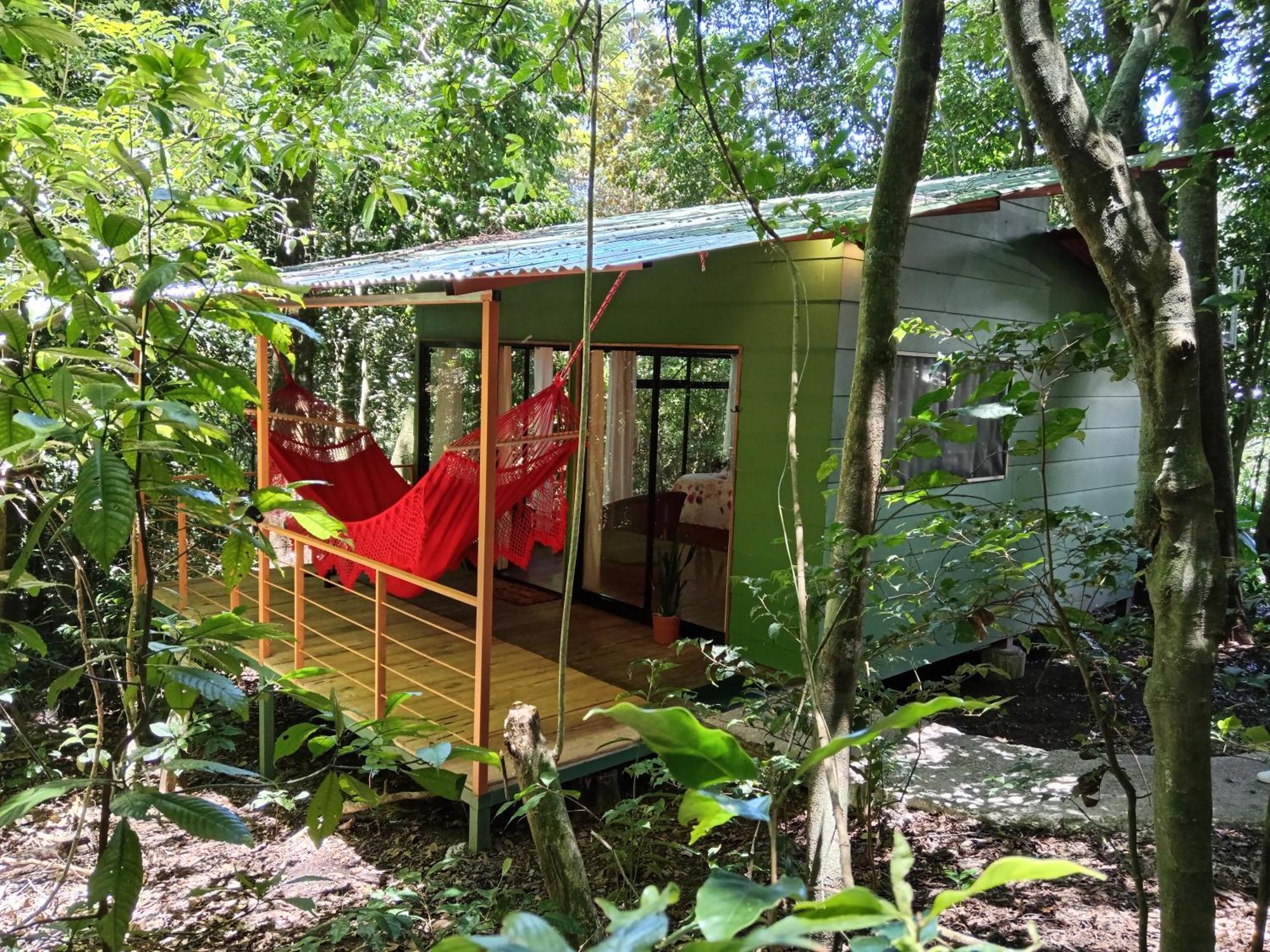 מונטה ורדה Jungle Living Tree Houses מראה חיצוני תמונה