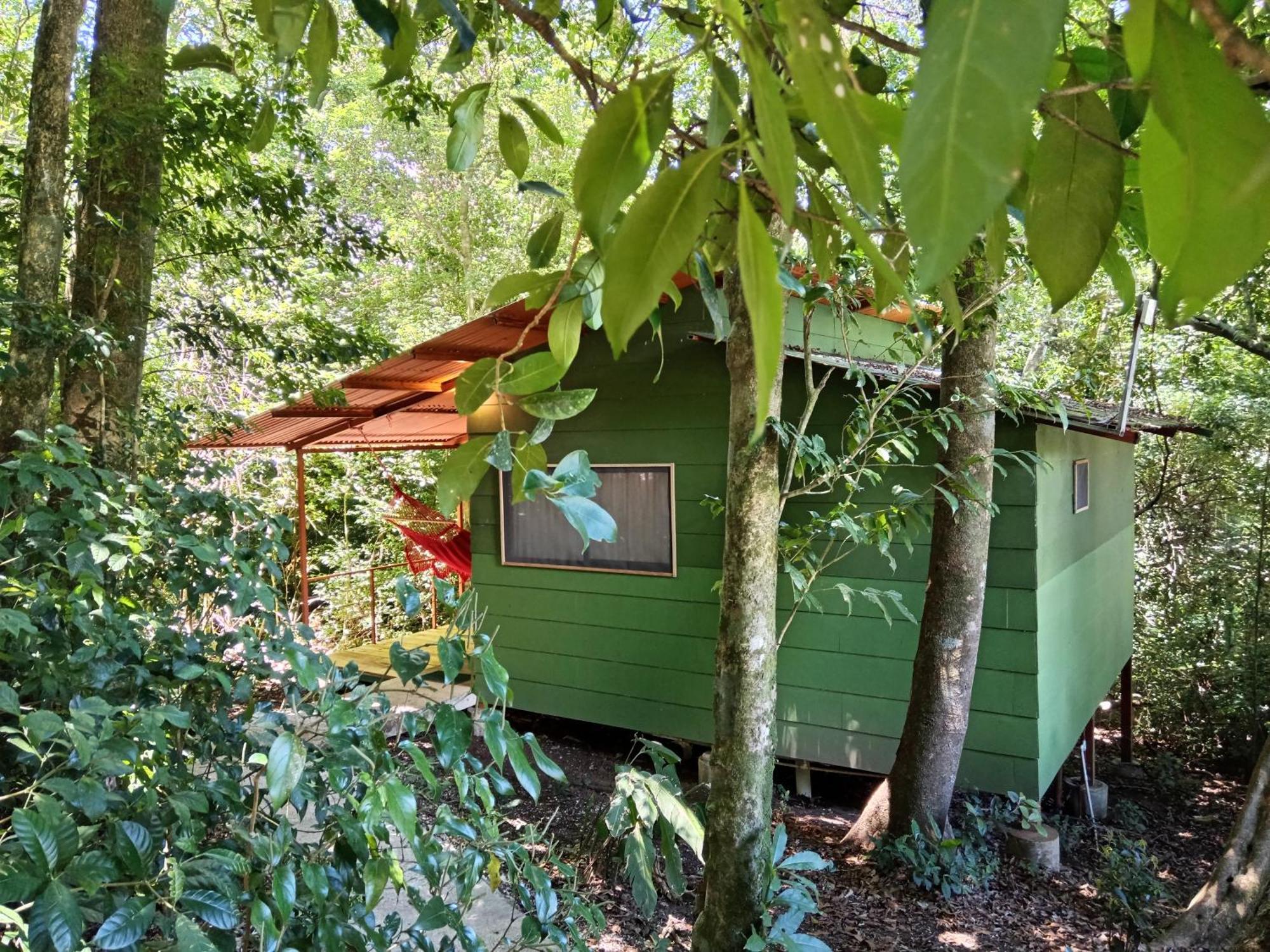 מונטה ורדה Jungle Living Tree Houses מראה חיצוני תמונה