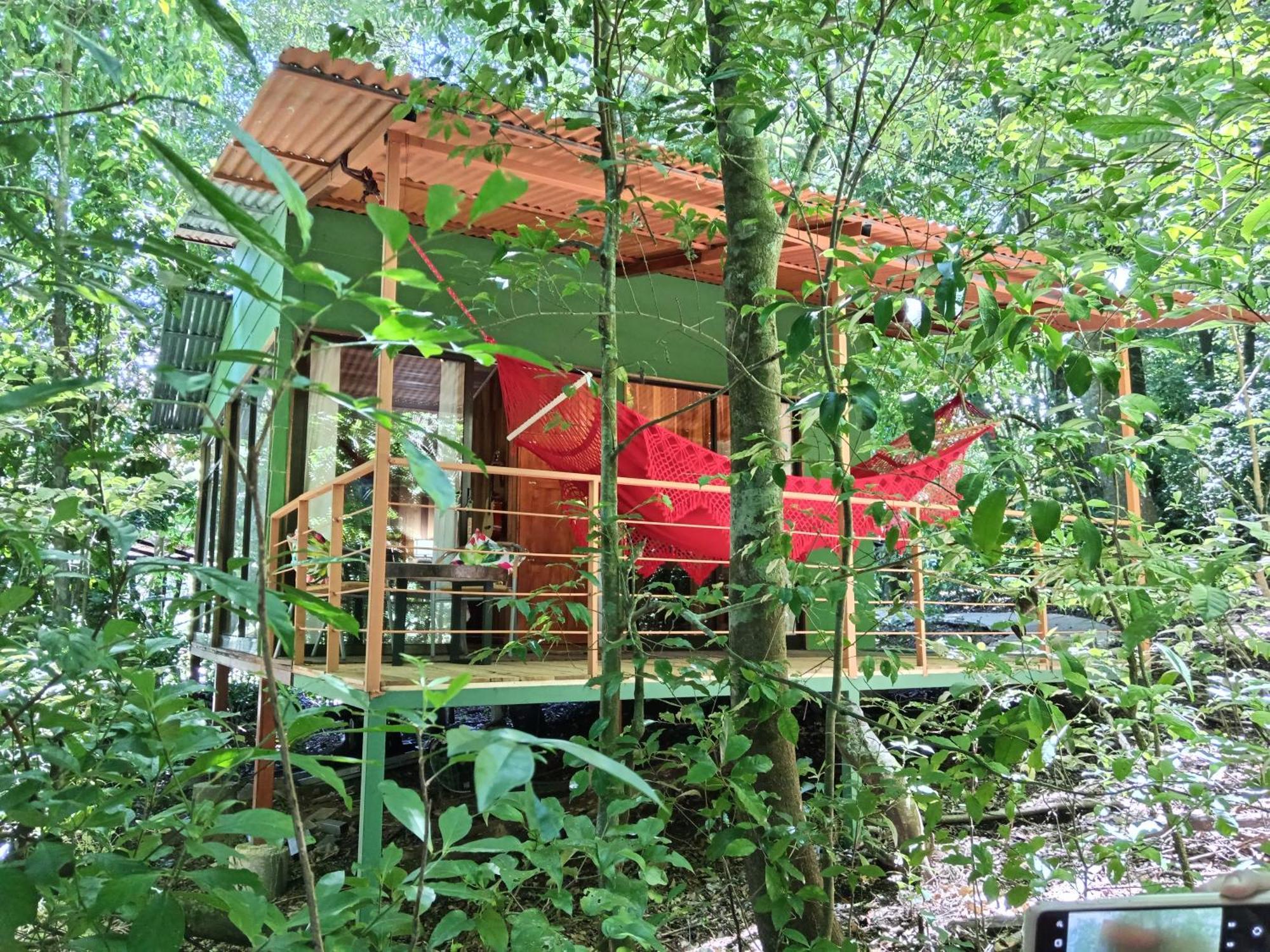מונטה ורדה Jungle Living Tree Houses מראה חיצוני תמונה