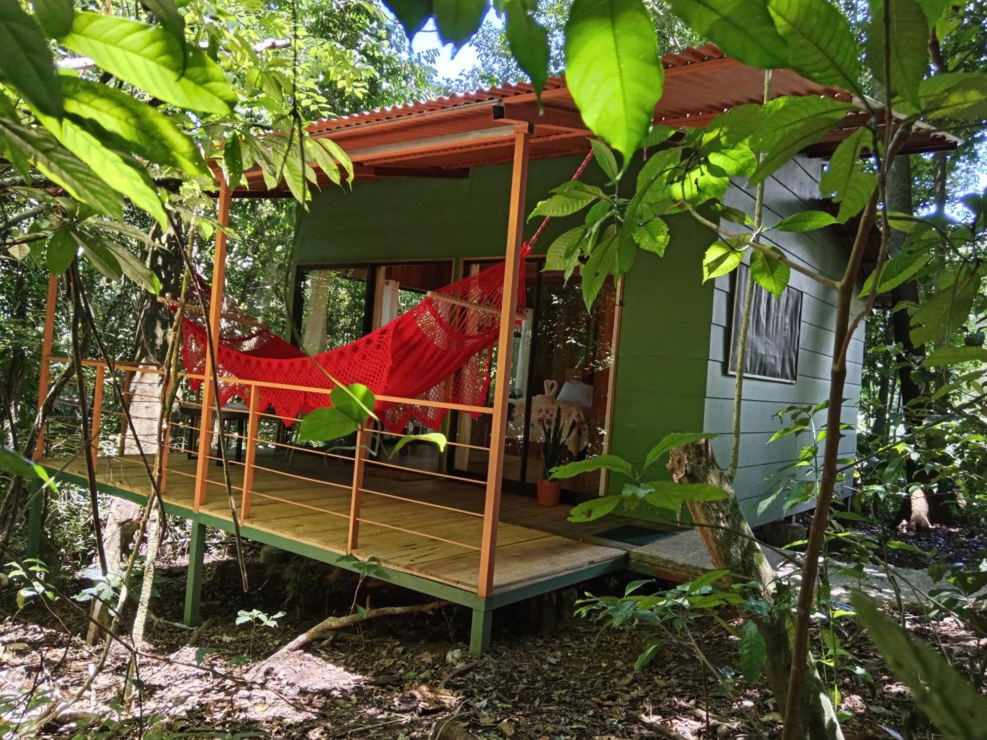 מונטה ורדה Jungle Living Tree Houses מראה חיצוני תמונה