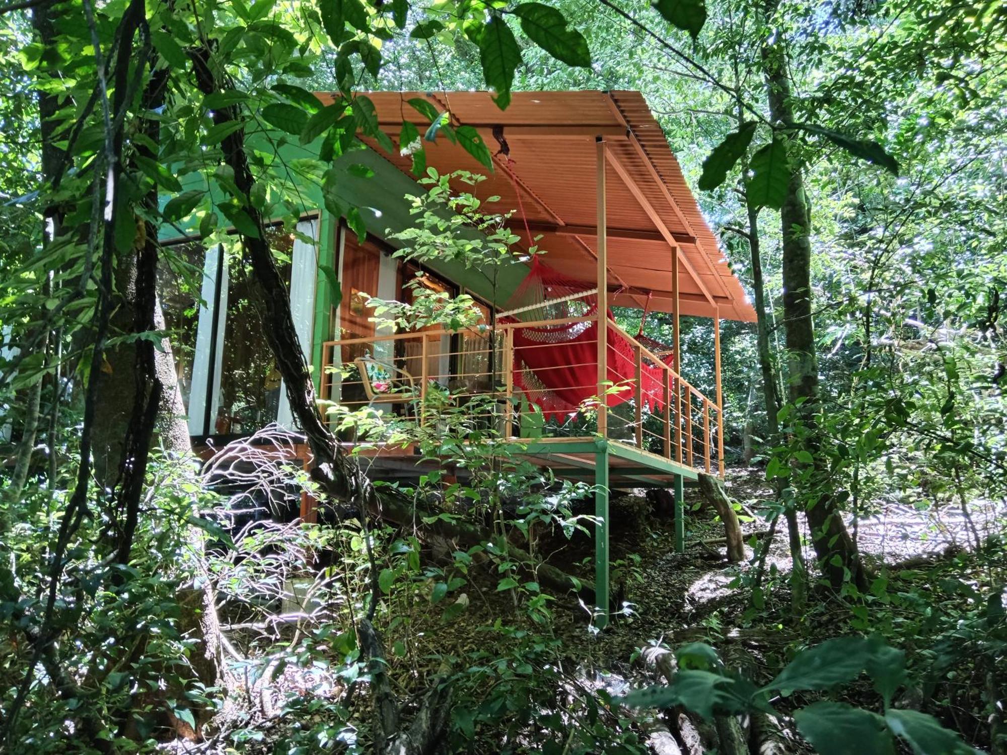 מונטה ורדה Jungle Living Tree Houses מראה חיצוני תמונה