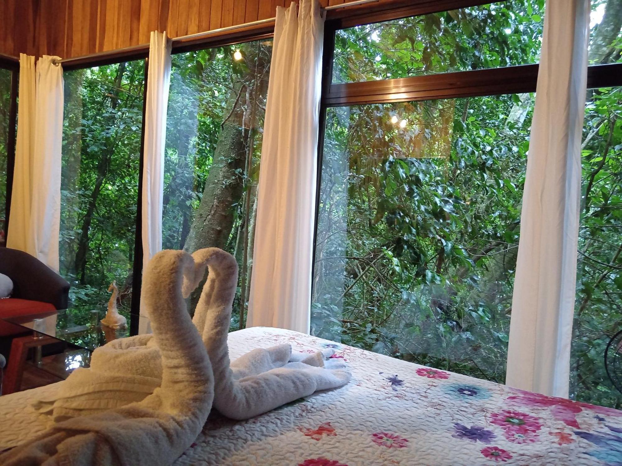 מונטה ורדה Jungle Living Tree Houses מראה חיצוני תמונה