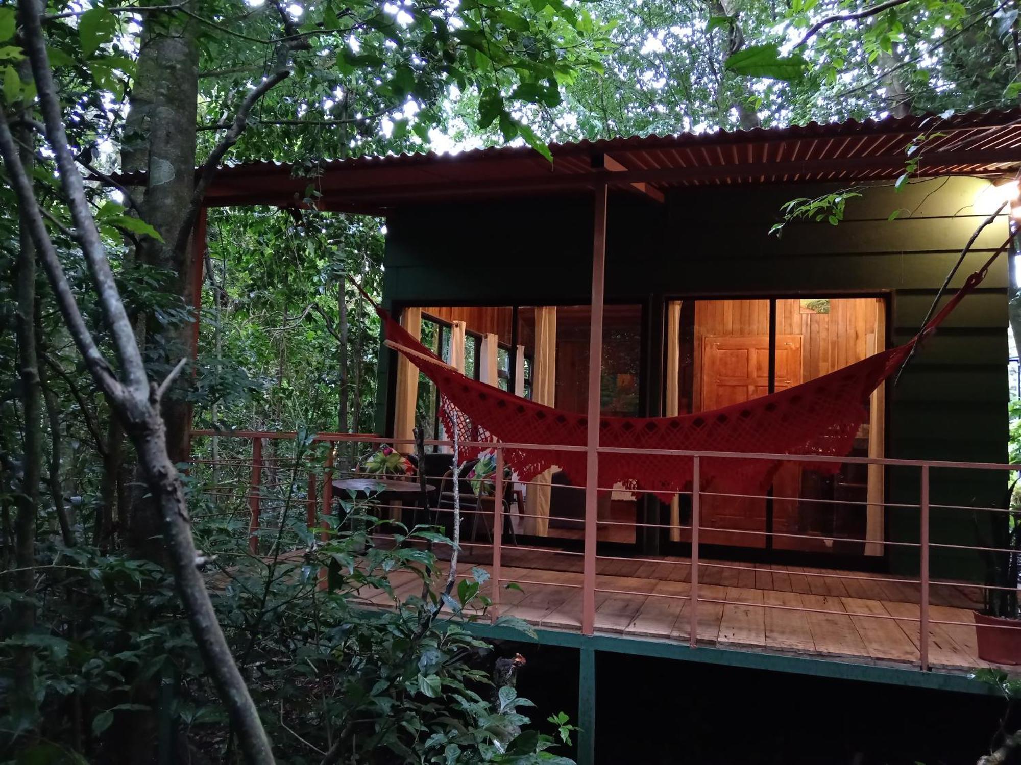 מונטה ורדה Jungle Living Tree Houses מראה חיצוני תמונה