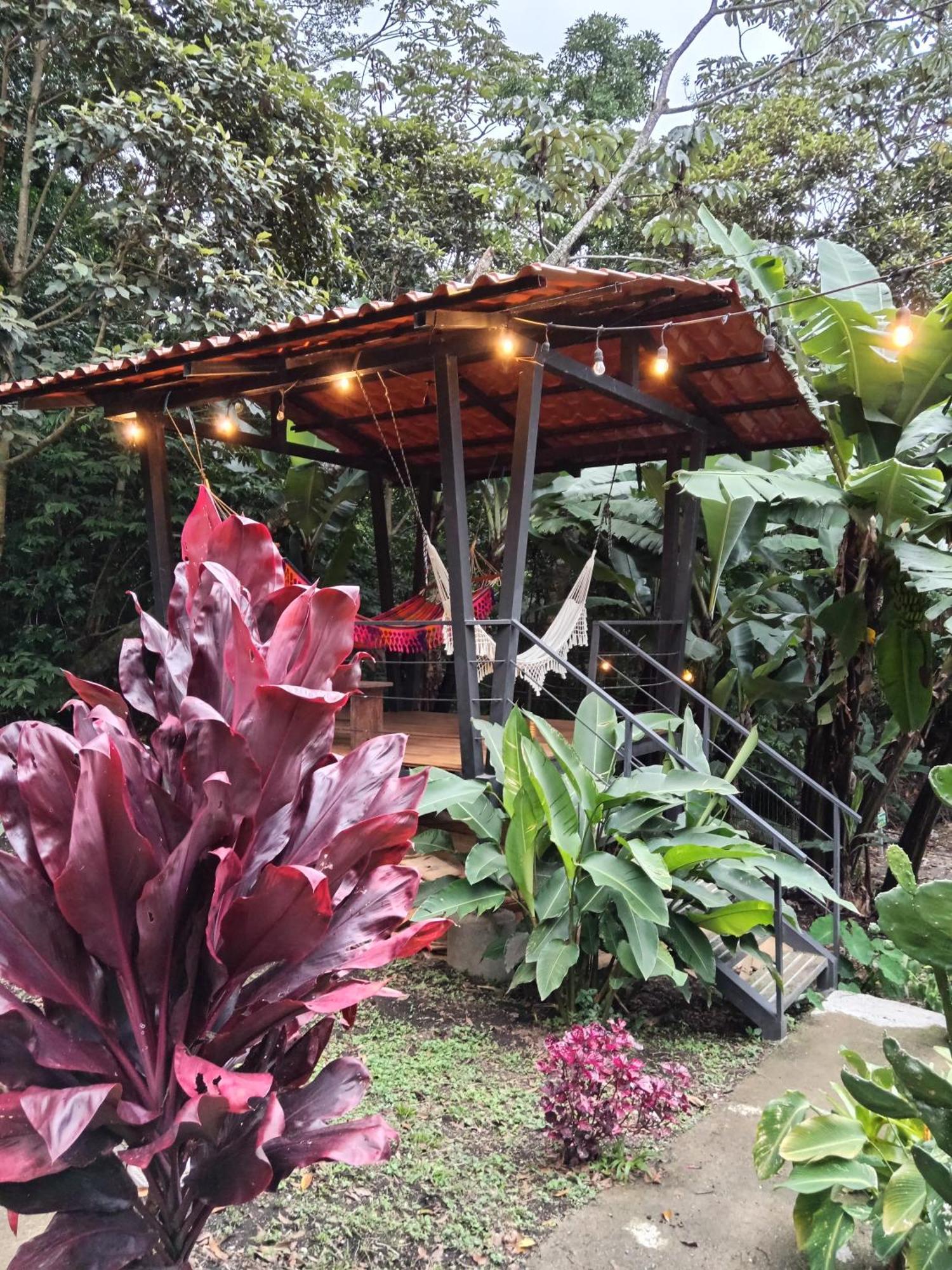 מונטה ורדה Jungle Living Tree Houses מראה חיצוני תמונה