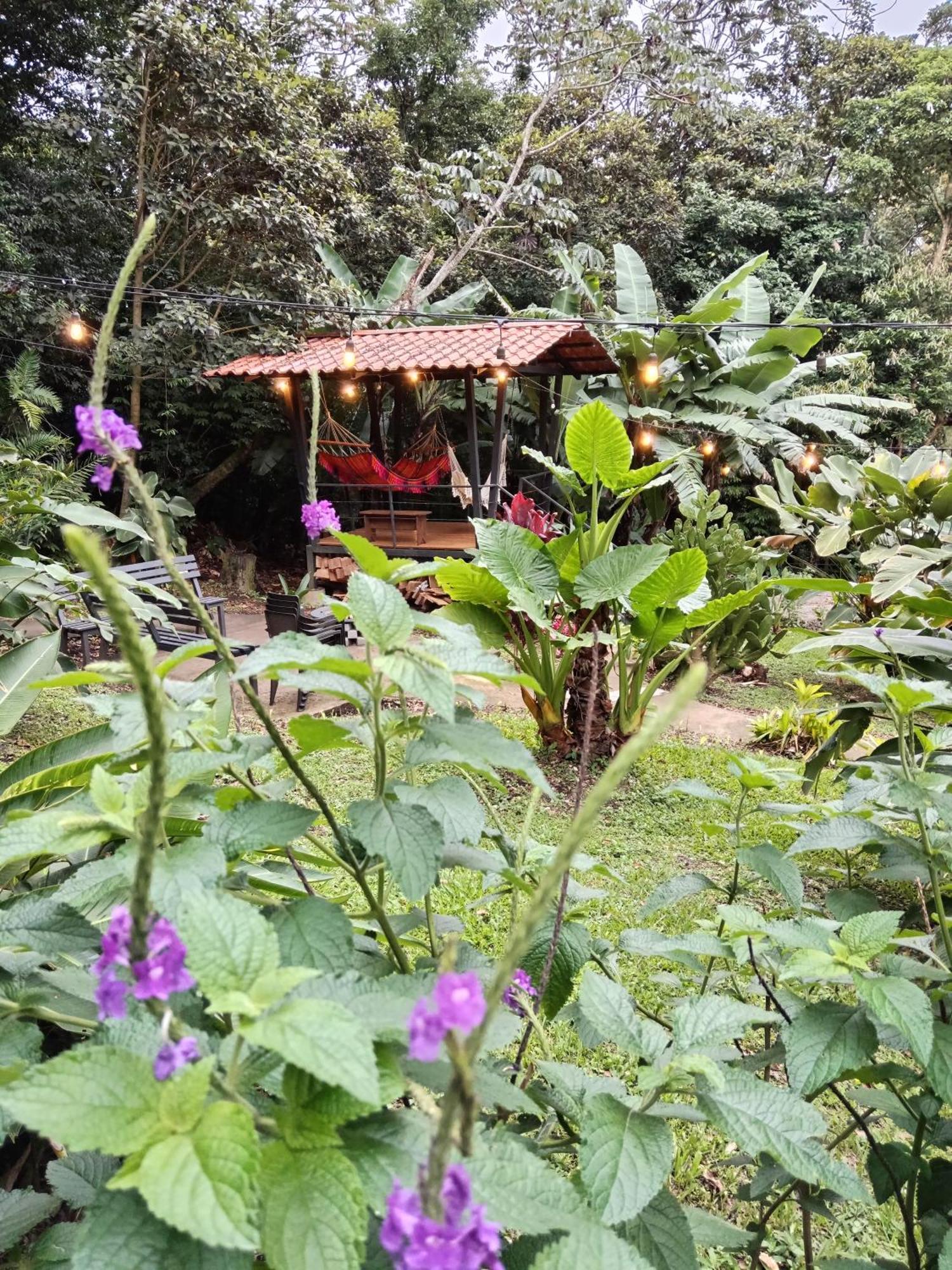 מונטה ורדה Jungle Living Tree Houses מראה חיצוני תמונה