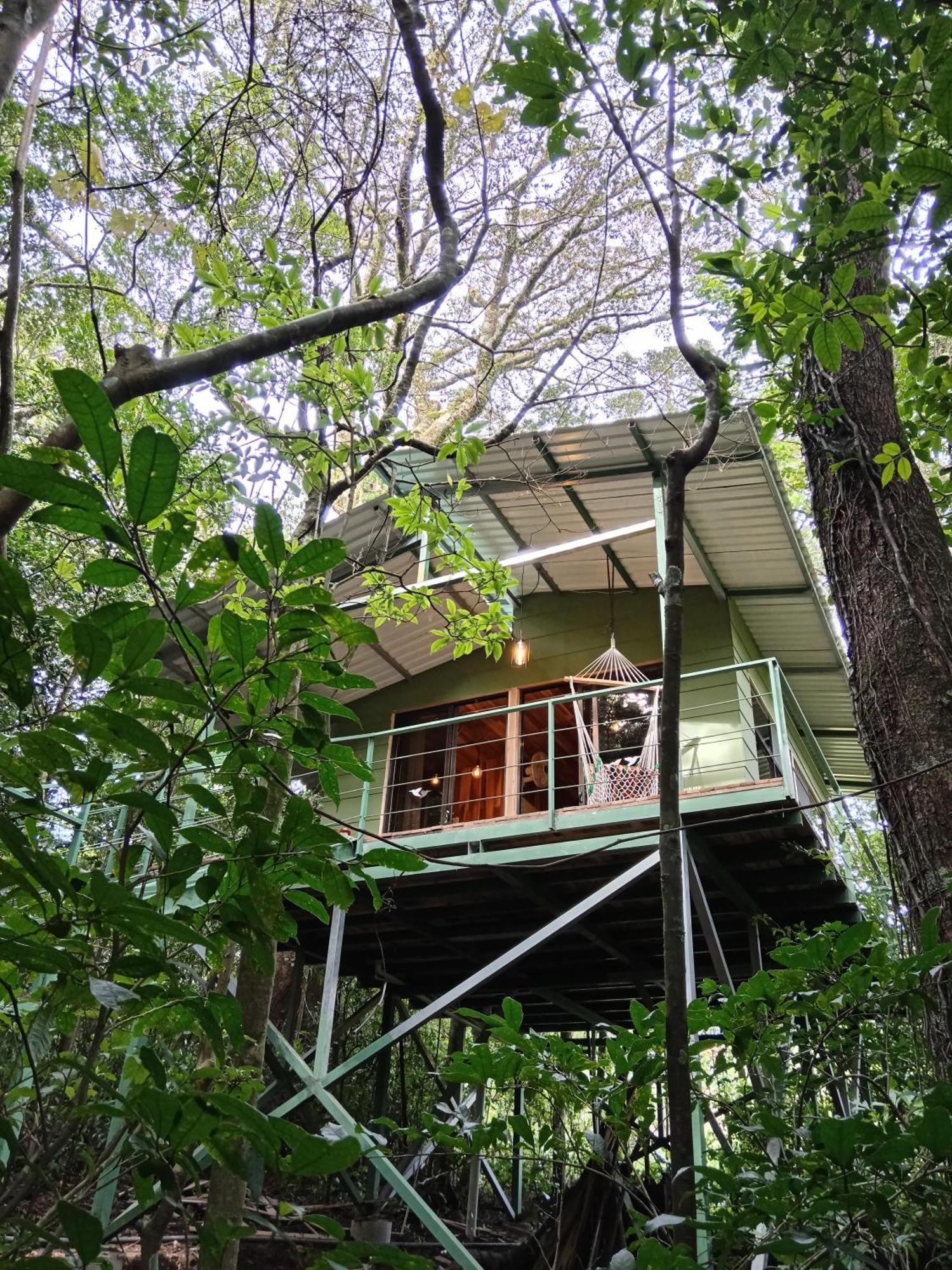 מונטה ורדה Jungle Living Tree Houses מראה חיצוני תמונה