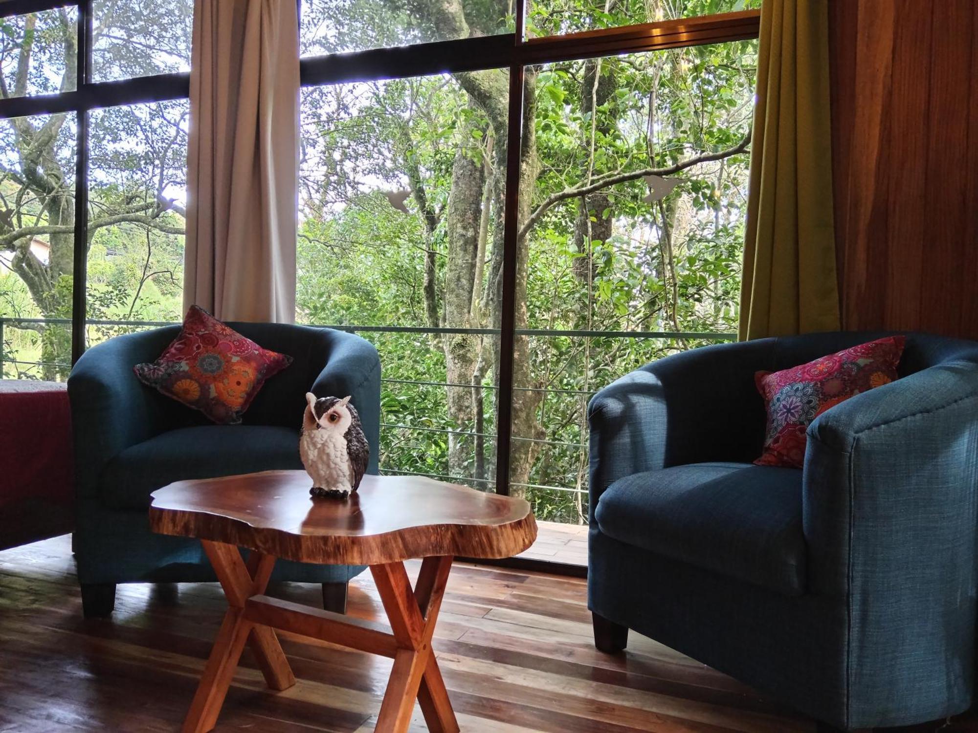 מונטה ורדה Jungle Living Tree Houses מראה חיצוני תמונה