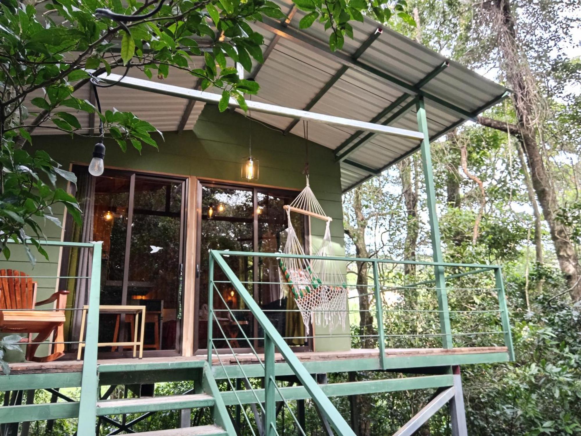 מונטה ורדה Jungle Living Tree Houses מראה חיצוני תמונה
