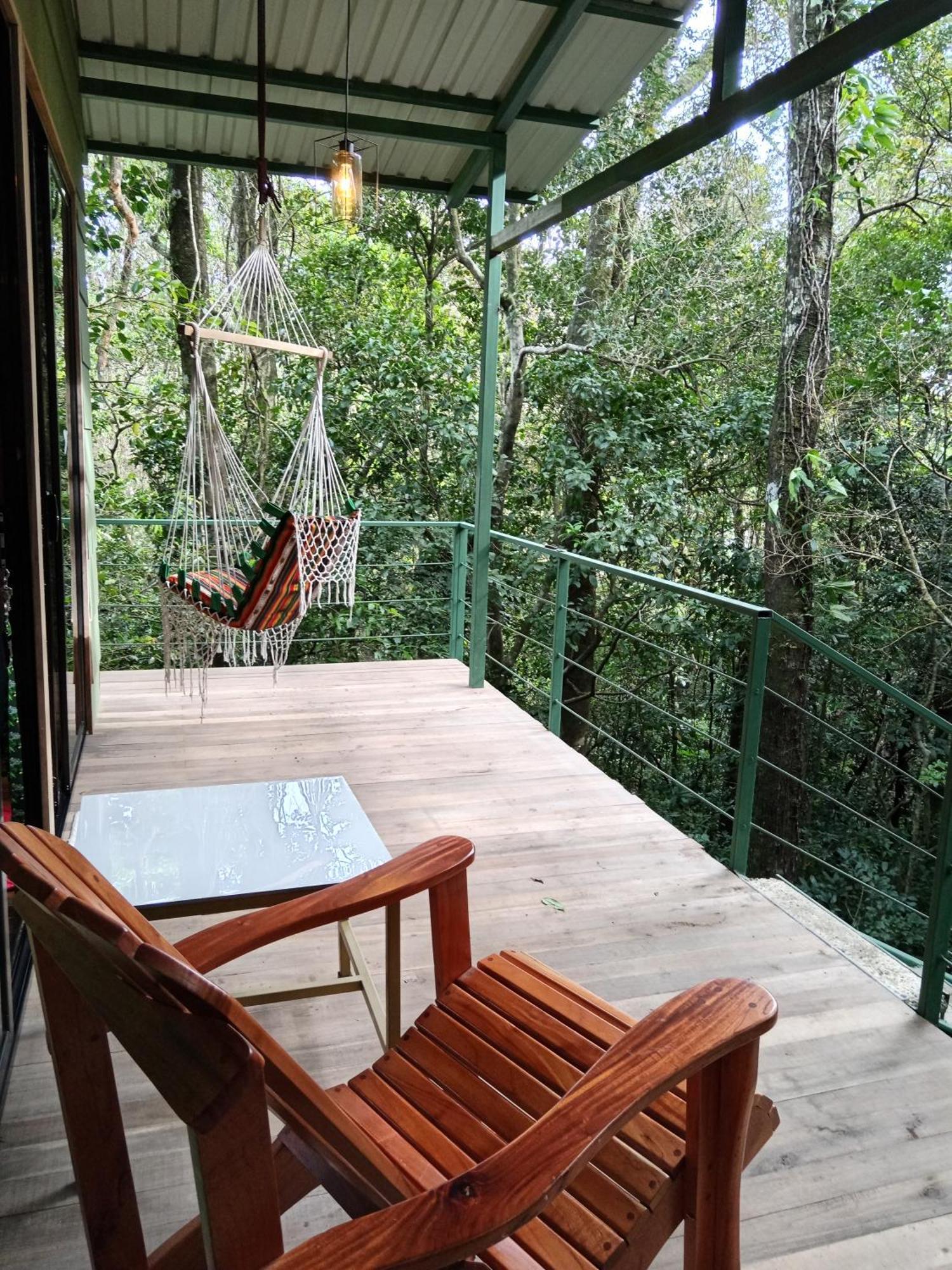 מונטה ורדה Jungle Living Tree Houses מראה חיצוני תמונה