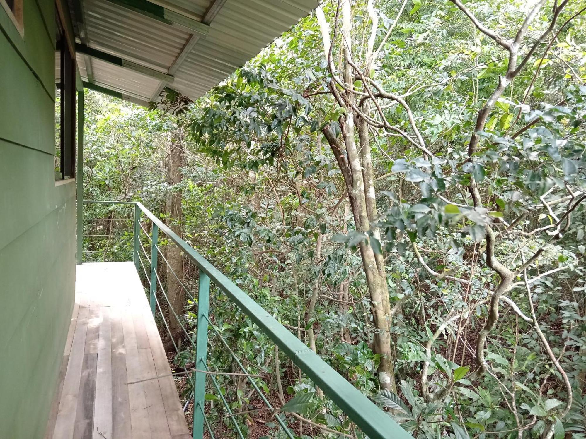 מונטה ורדה Jungle Living Tree Houses מראה חיצוני תמונה