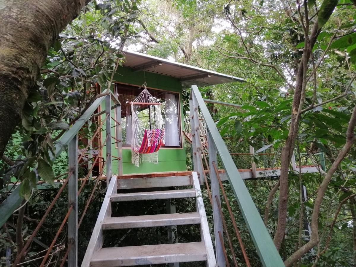 מונטה ורדה Jungle Living Tree Houses מראה חיצוני תמונה